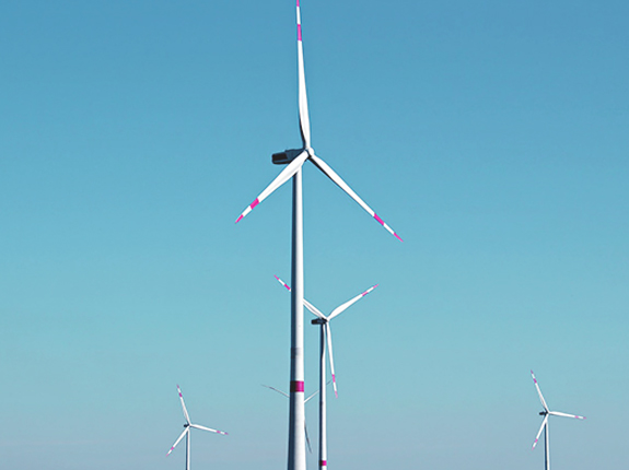 盛煌娱乐(中国游)·官方网站